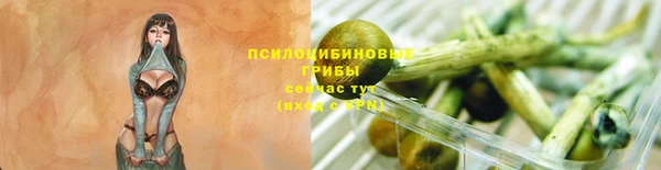 прущие грибы Арсеньев