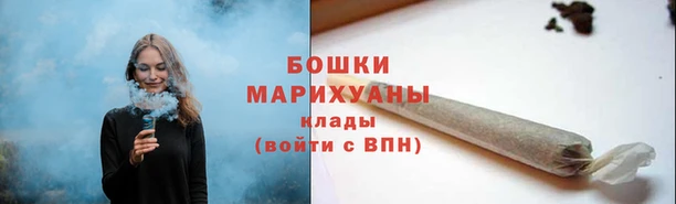 прущие грибы Арсеньев