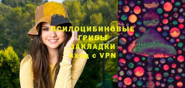 бошки Армянск