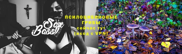 бошки Армянск