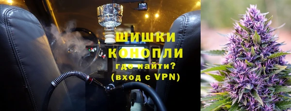 прущие грибы Арсеньев