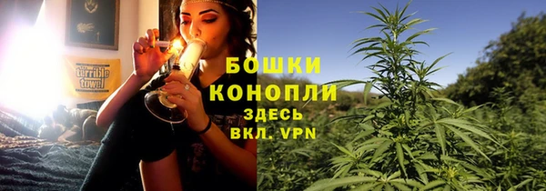 дурь Аркадак