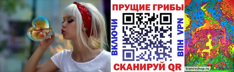 Галлюциногенные грибы Magic Shrooms  Купить закладки  Красноперекопск 